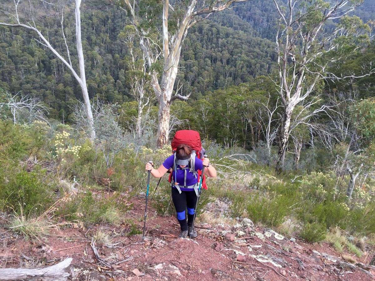 Howitt & helicopter spur hike 21