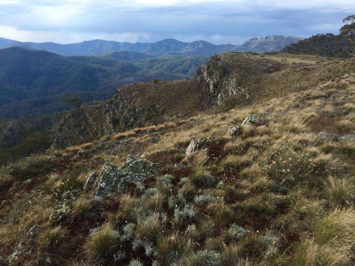 Howitt & helicopter spur hike 3
