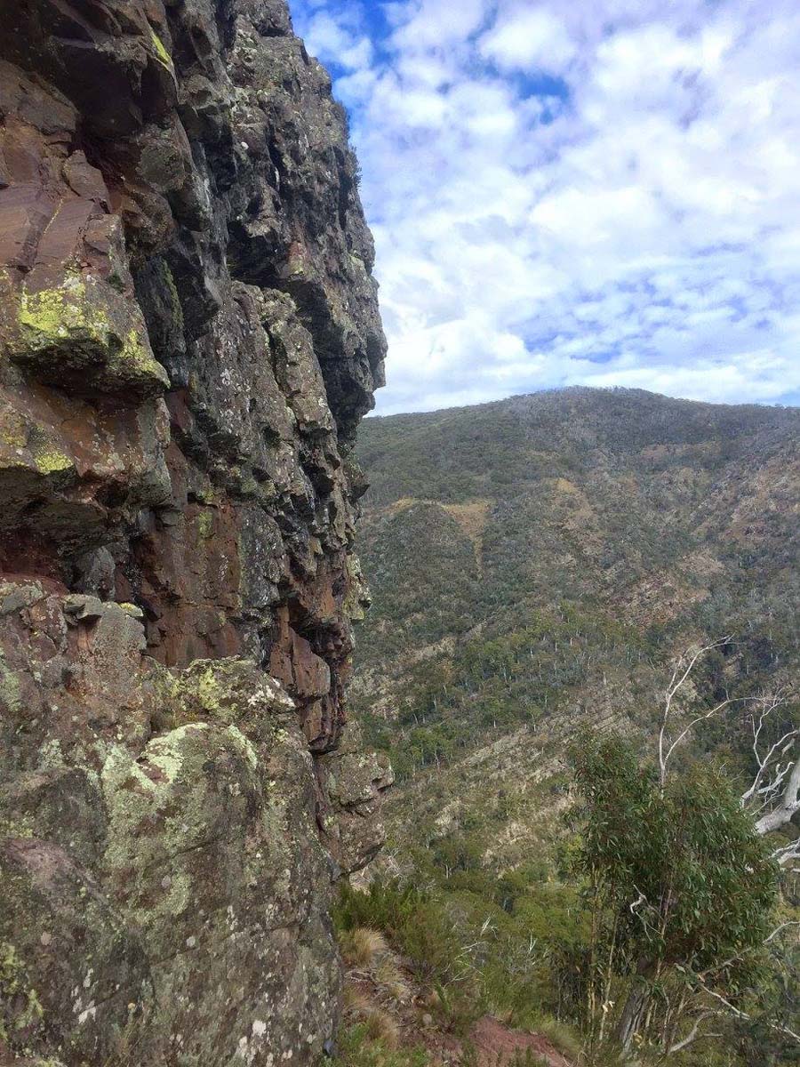 Howitt & helicopter spur hike 6
