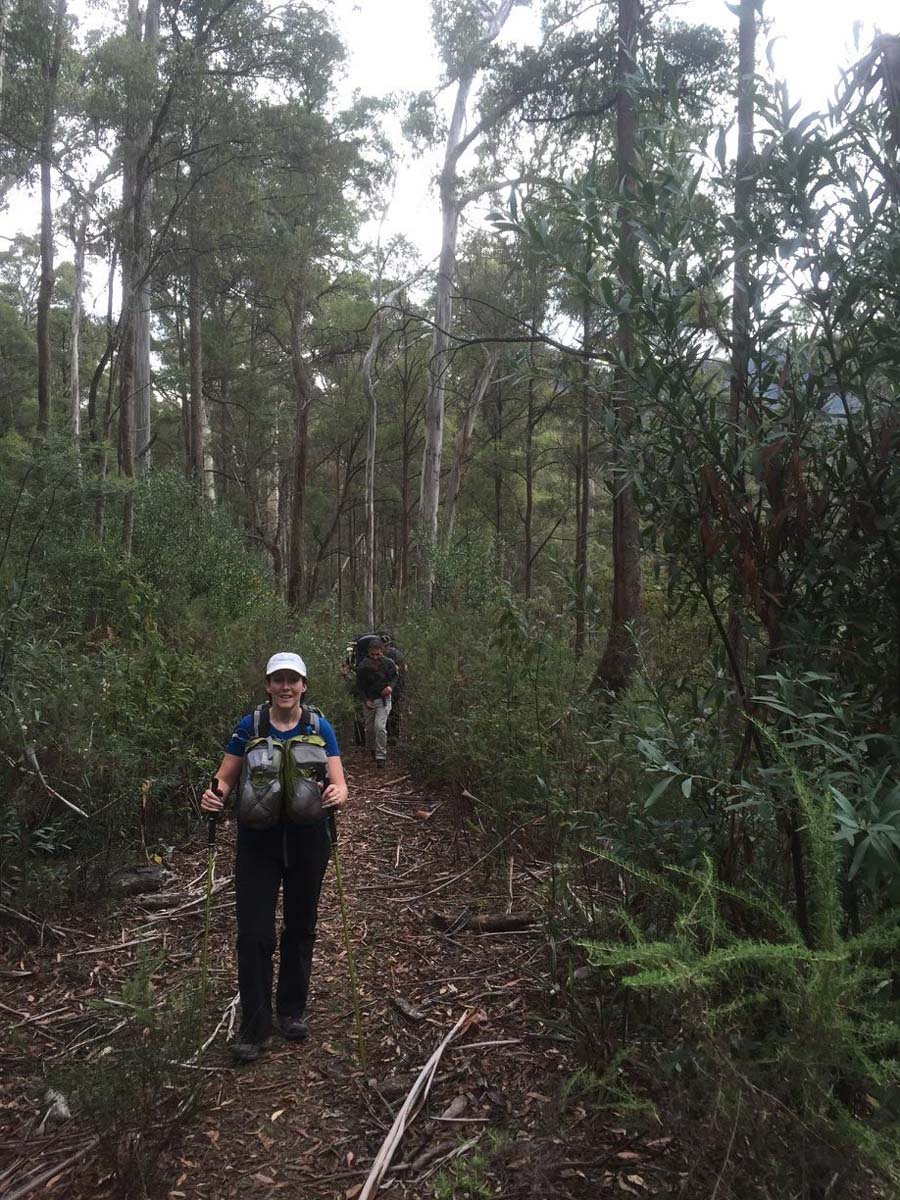 Howitt & helicopter spur hike 7