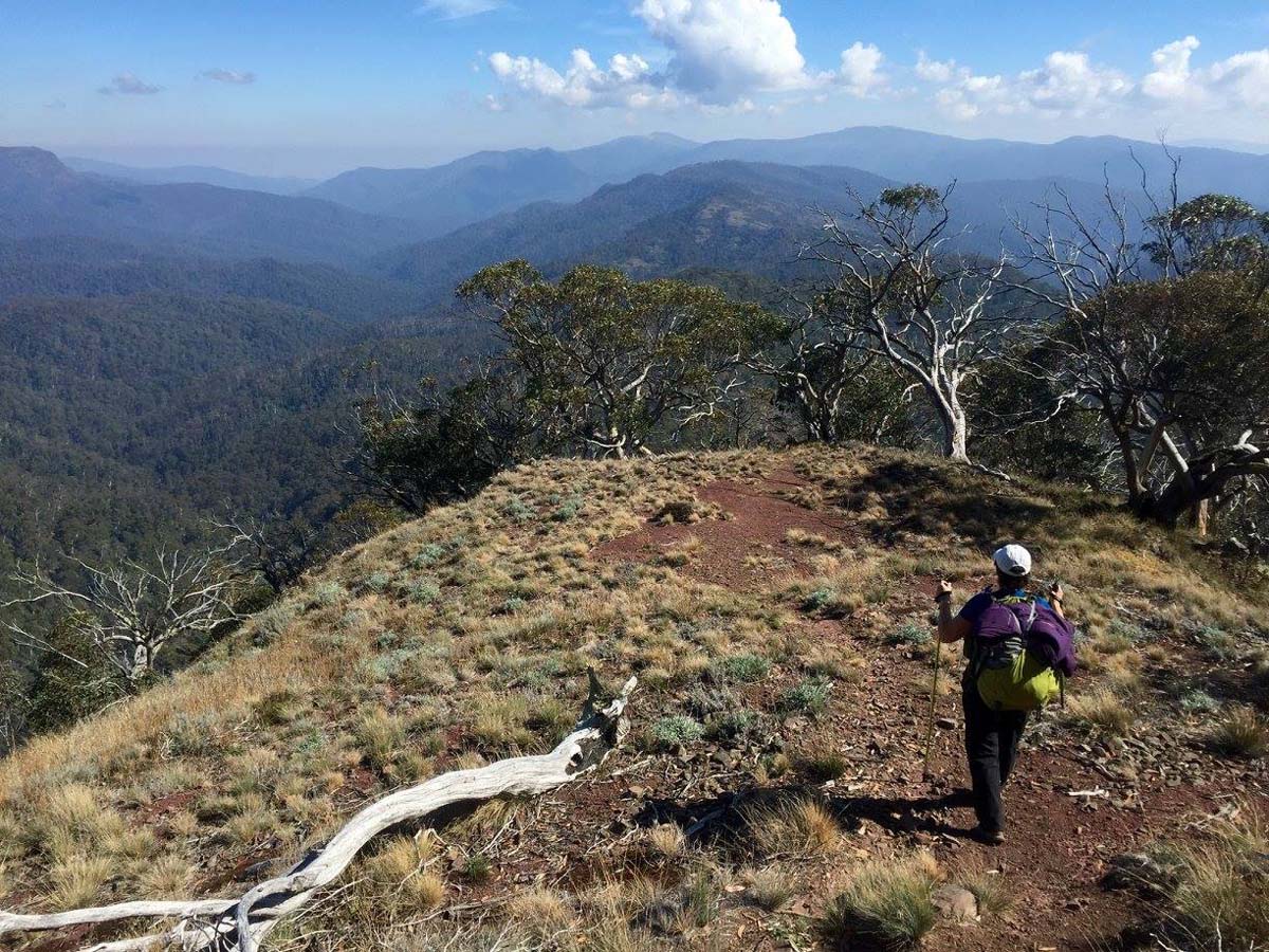 Howitt & helicopter spur hike 8
