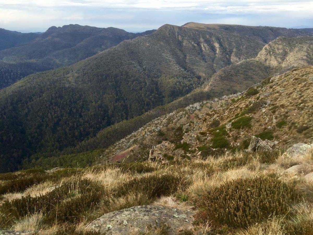 Howitt & helicopter spur hike 9