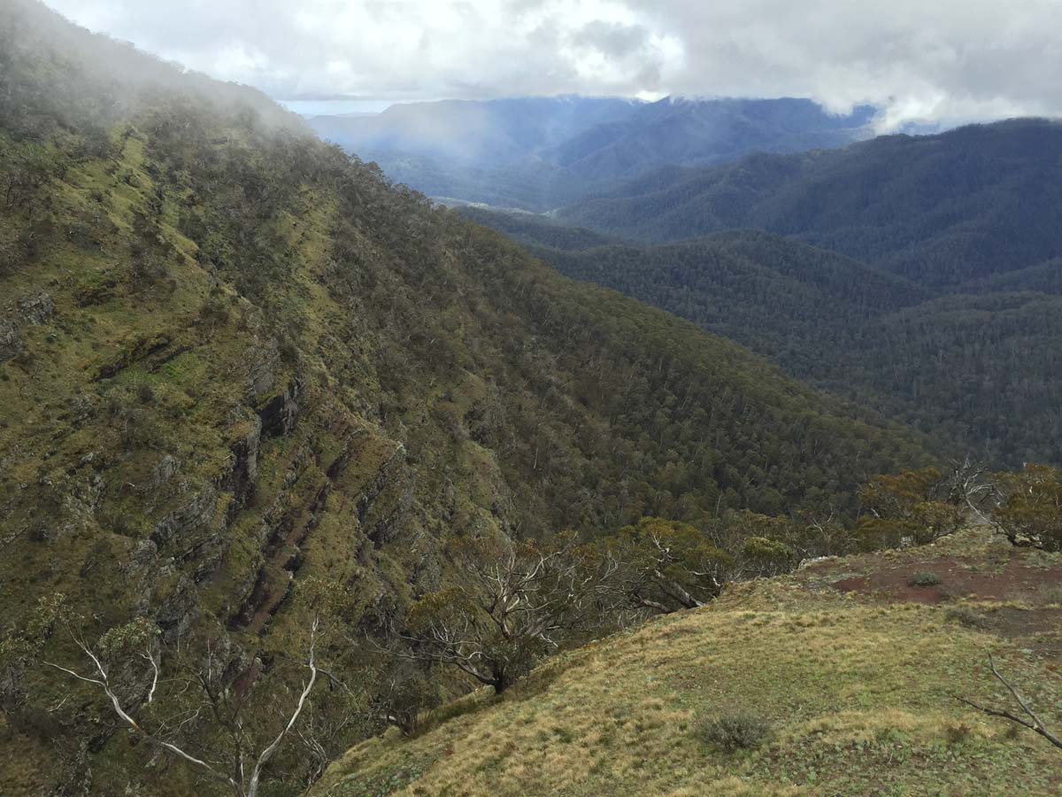 Howitt & the high country hike 12