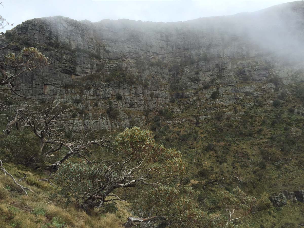 Howitt & the high country hike 13