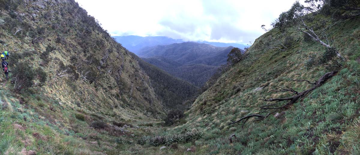 Howitt & the high country hike 15