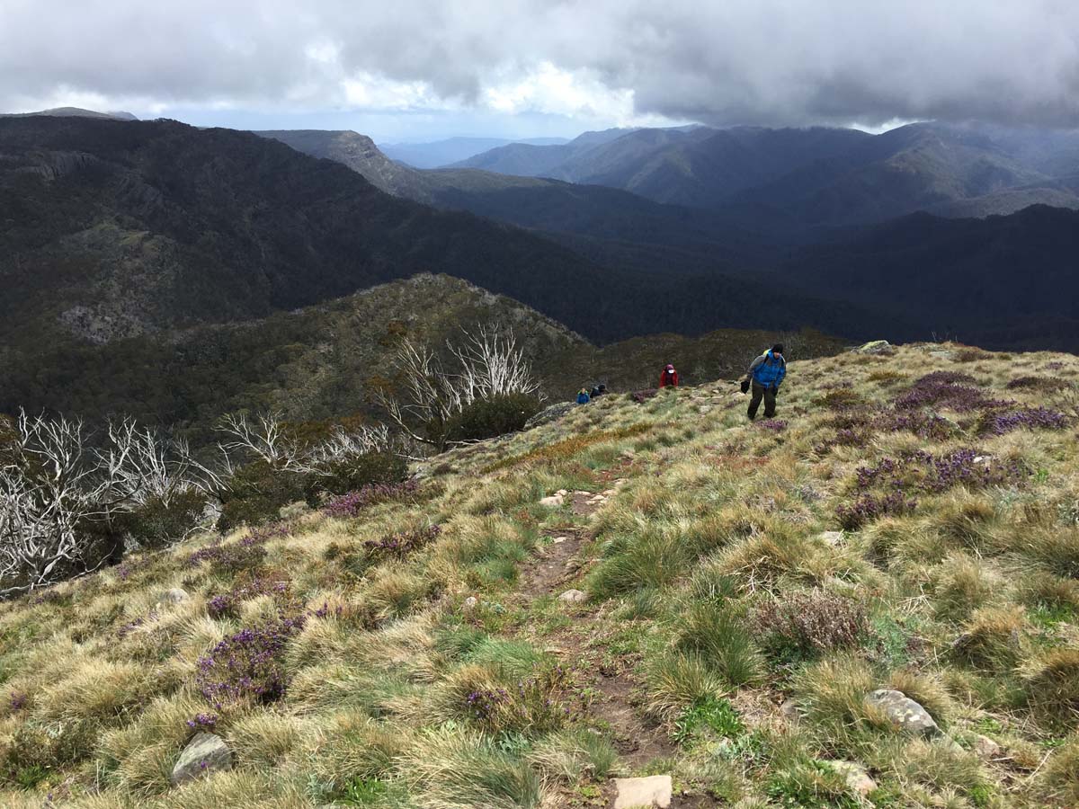 Howitt & the high country hike 16