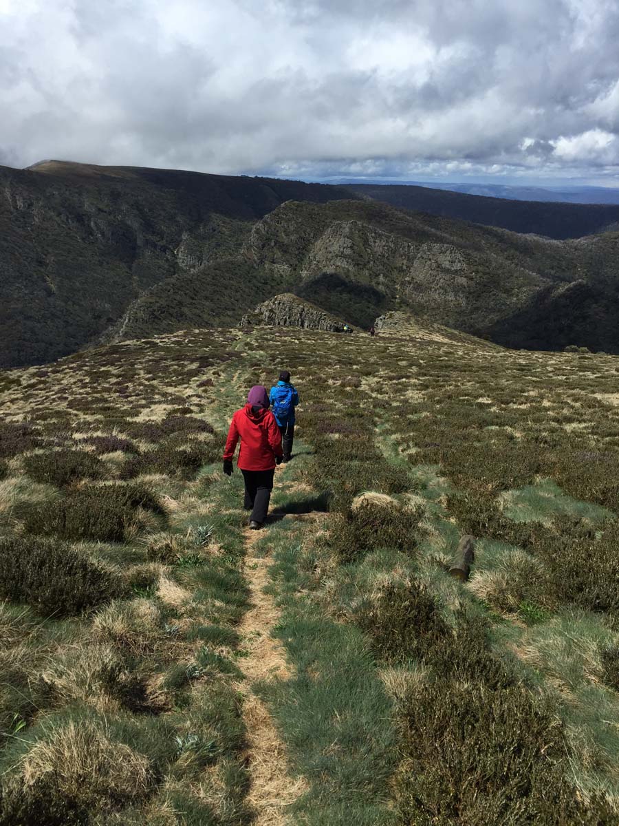 Howitt & the high country hike 25