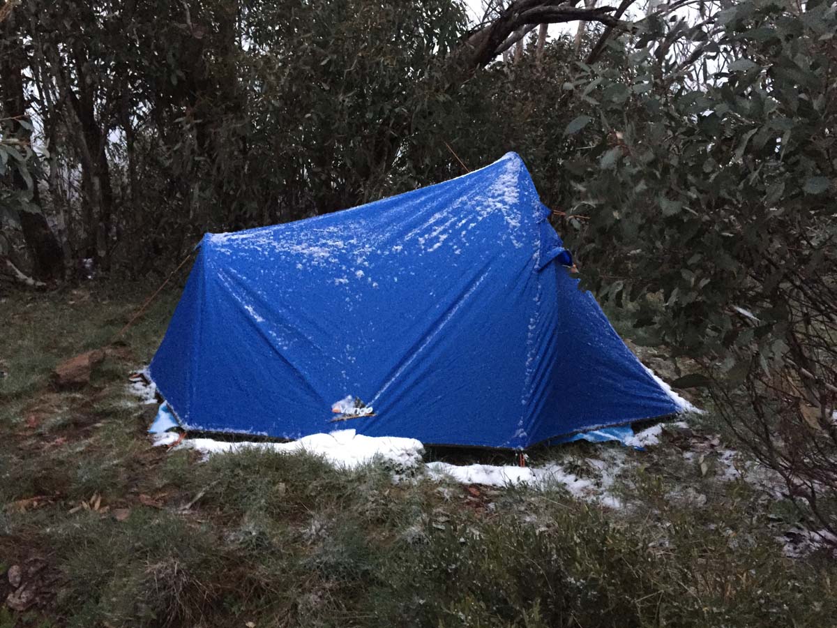 Howitt & the high country hike 33