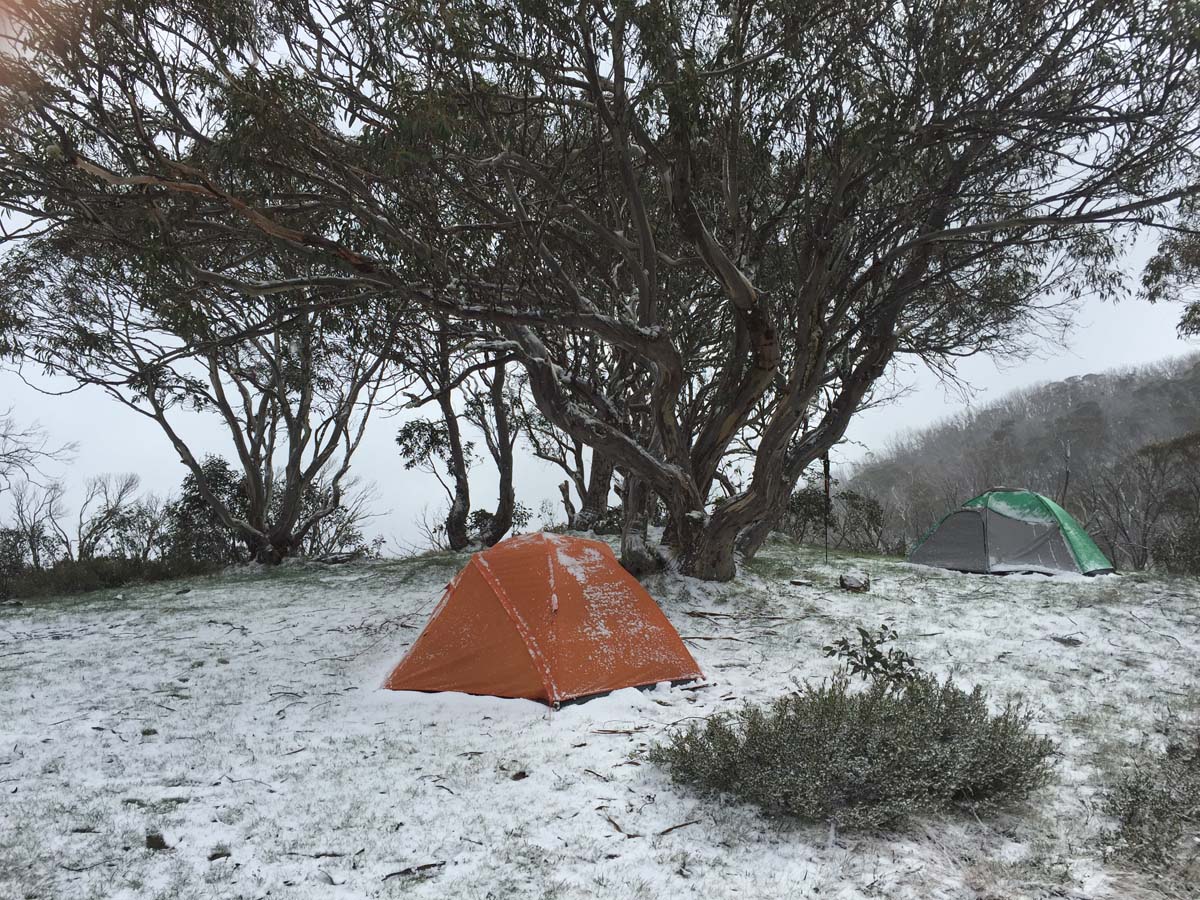 Howitt & the high country hike 35