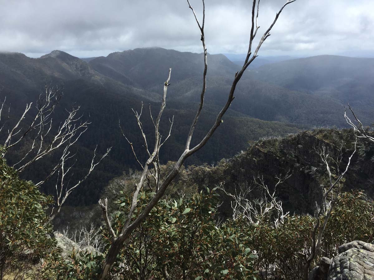 Howitt & the high country hike 44