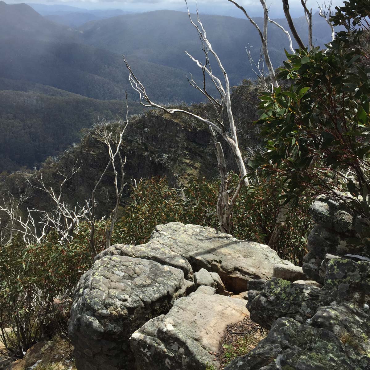 Howitt & the high country hike 51
