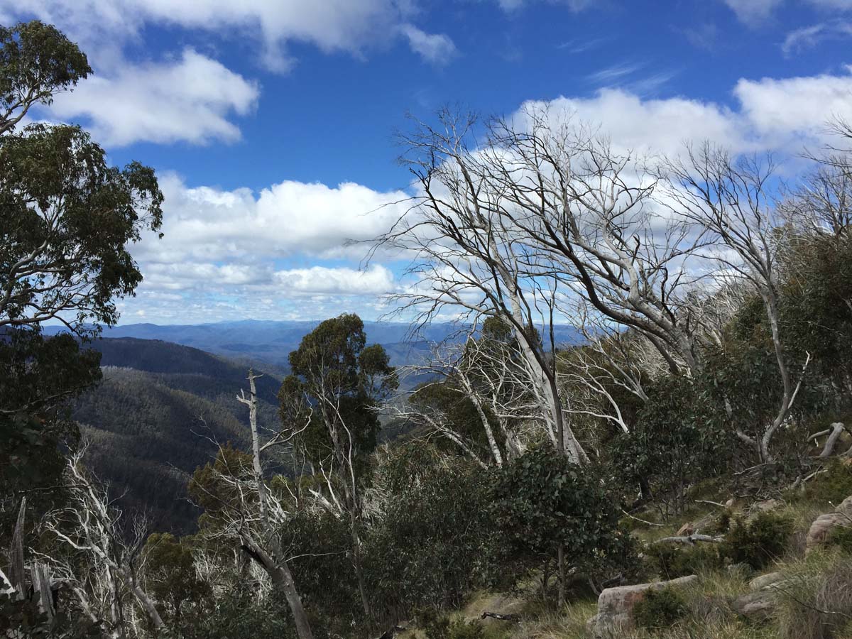 Howitt & the high country hike 58