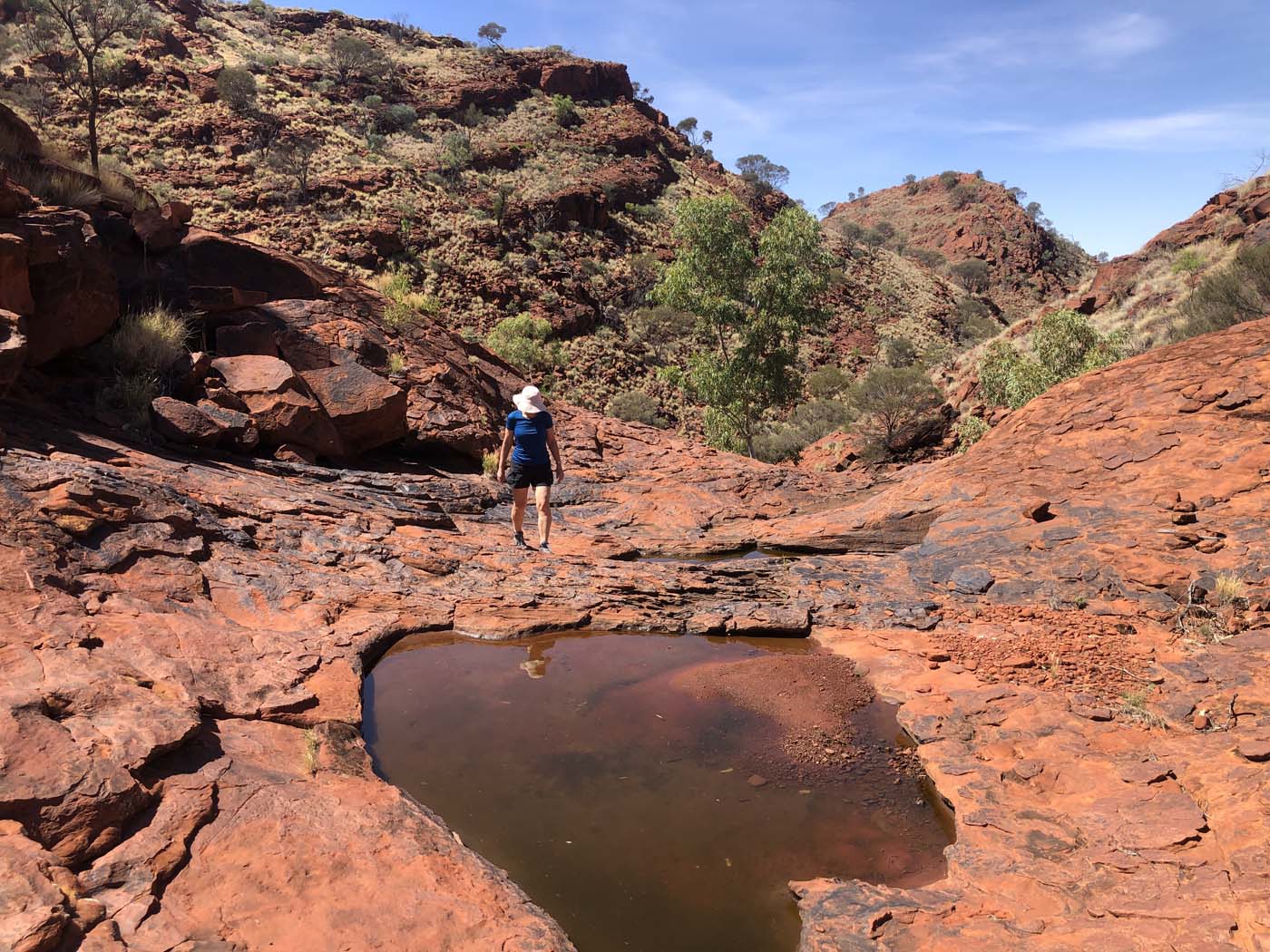 Illamurta springs walk (11)