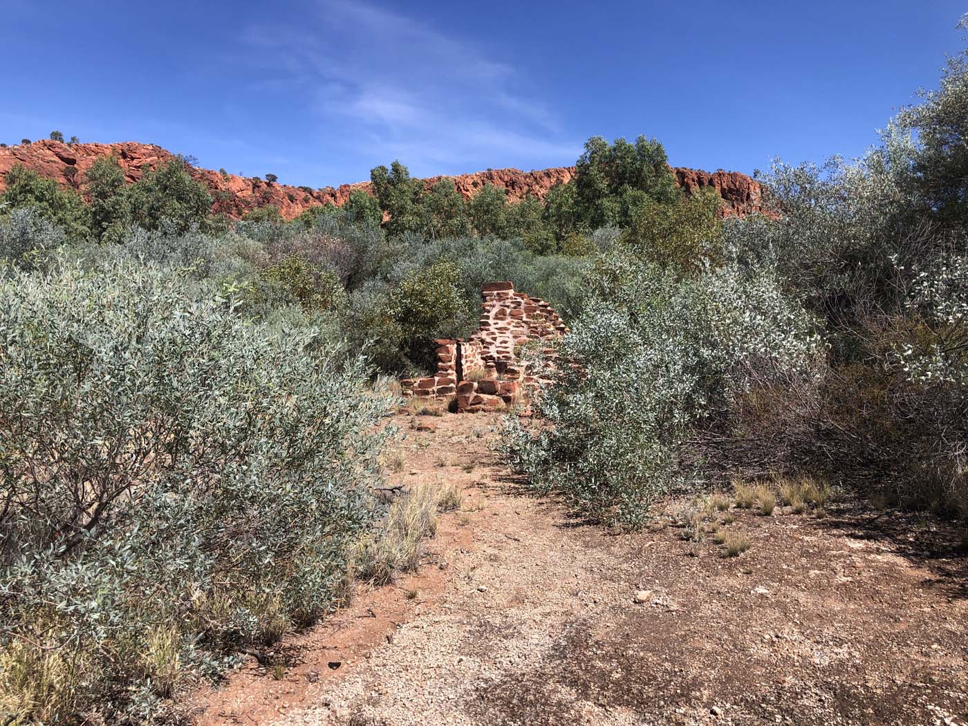 Illamurta springs walk (2)