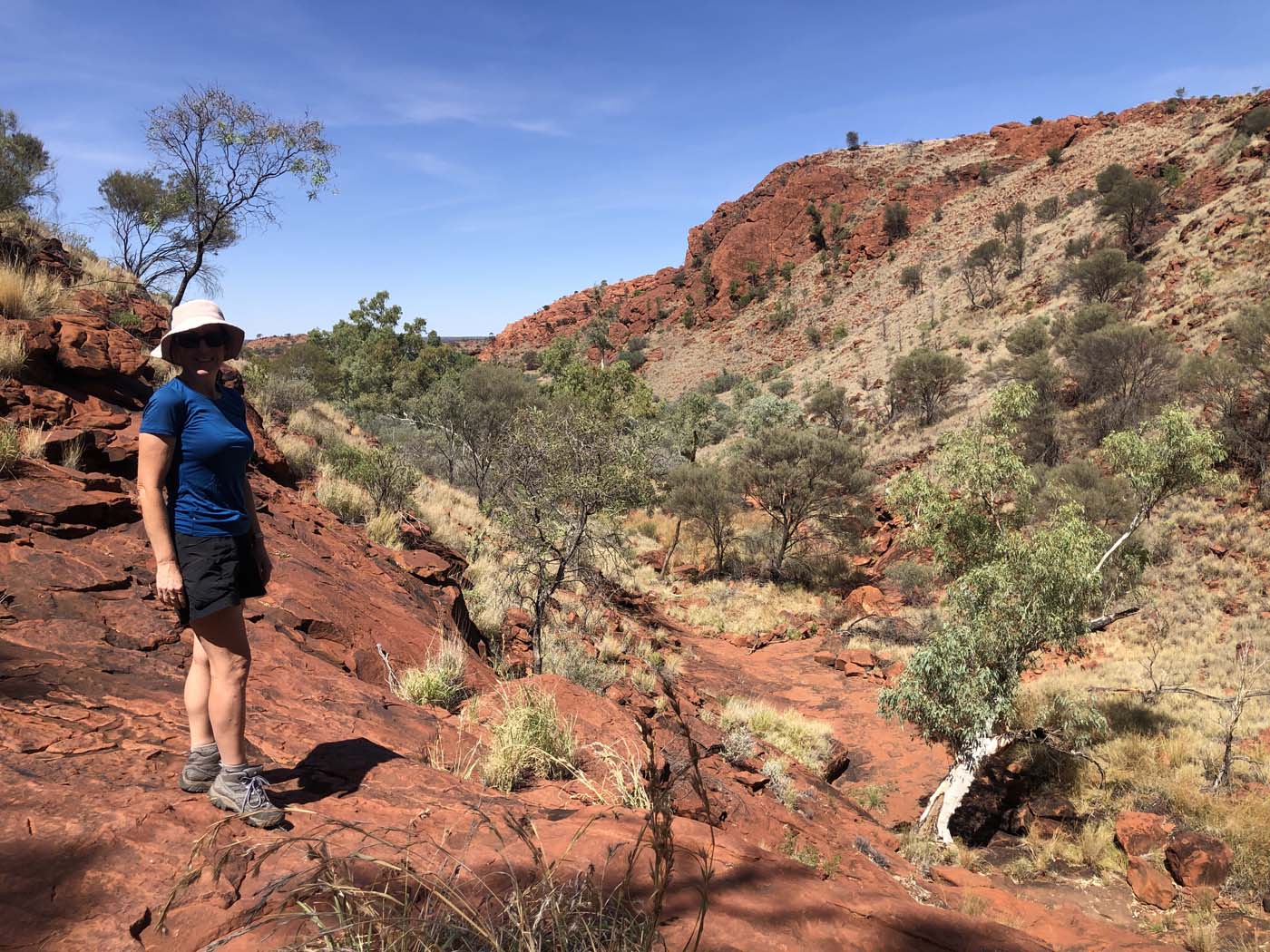Illamurta springs walk (7)