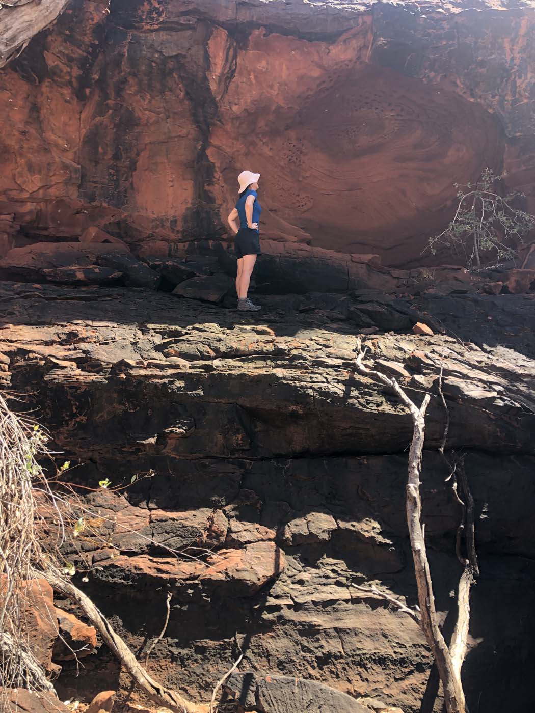 Illamurta springs walk (9)