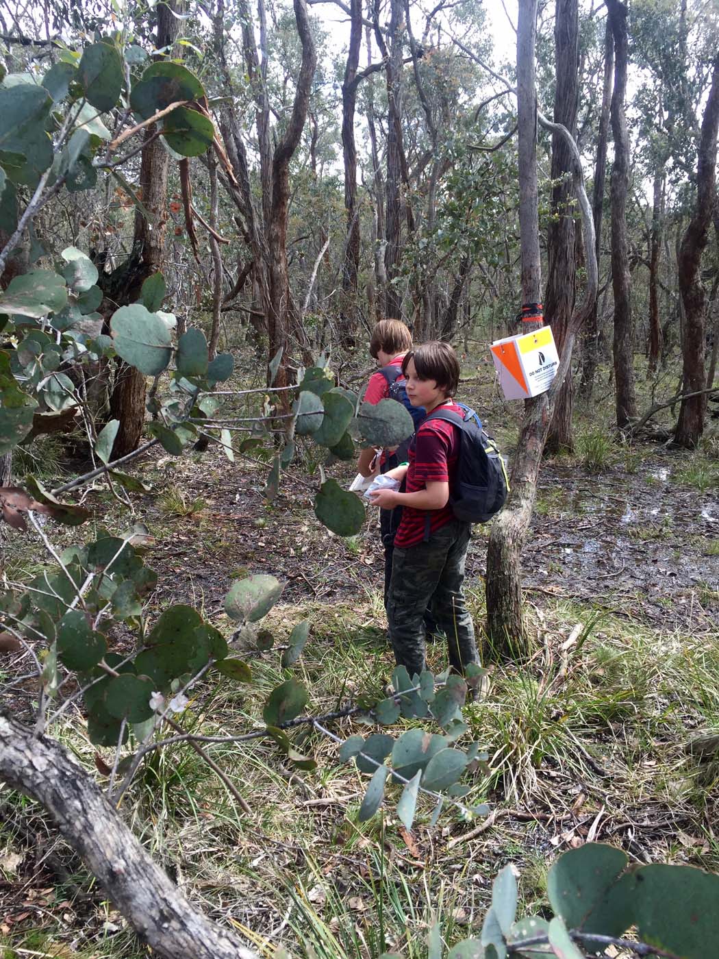 Navigation with rogaining (11)