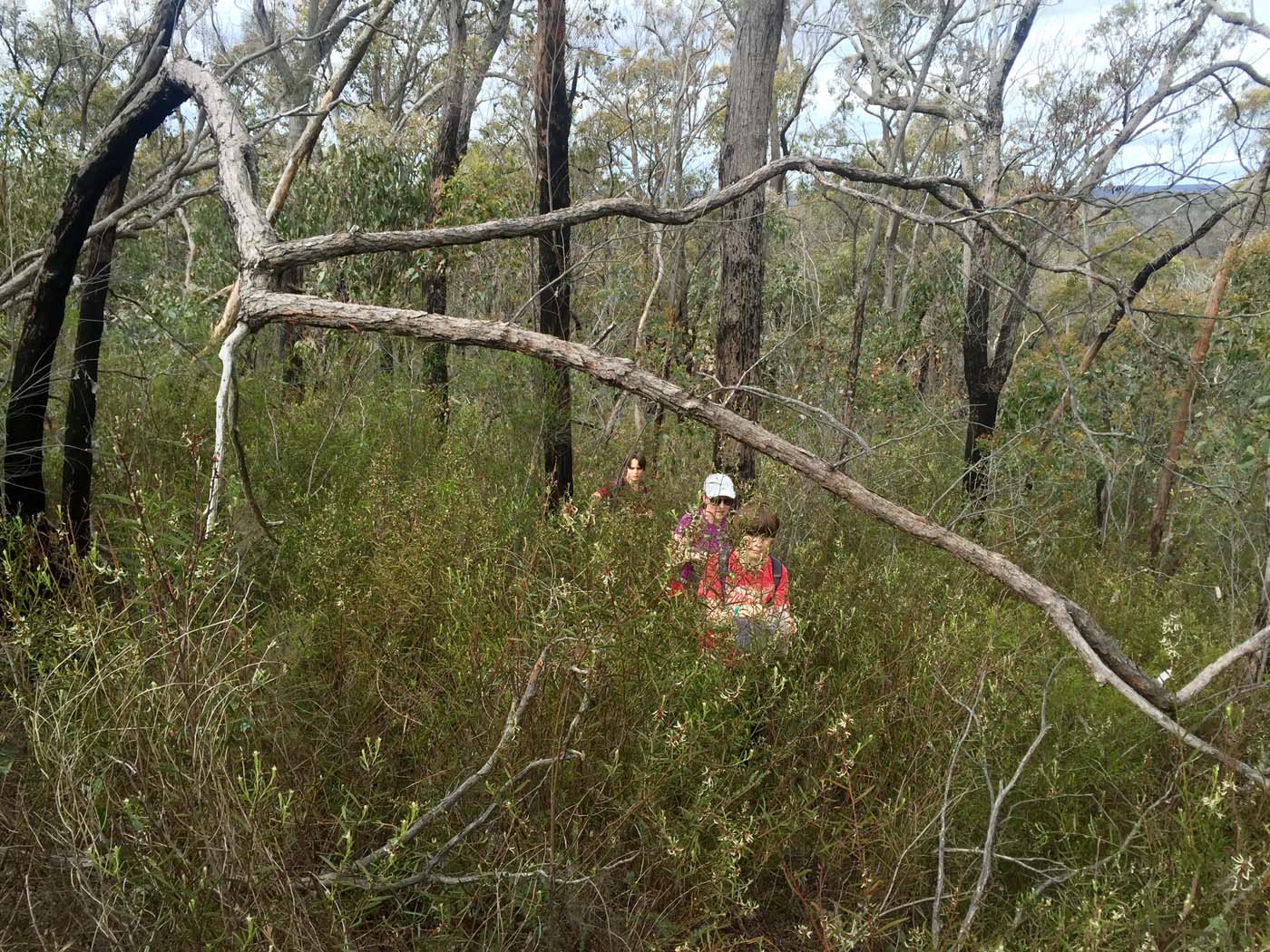 Navigation with rogaining (14)