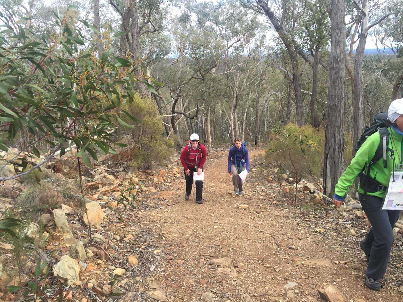 Navigation with rogaining (5)