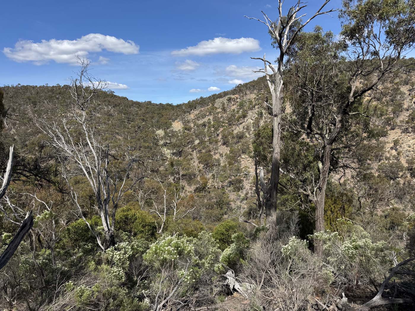 Ingliston gorge sloss gully (2) 1