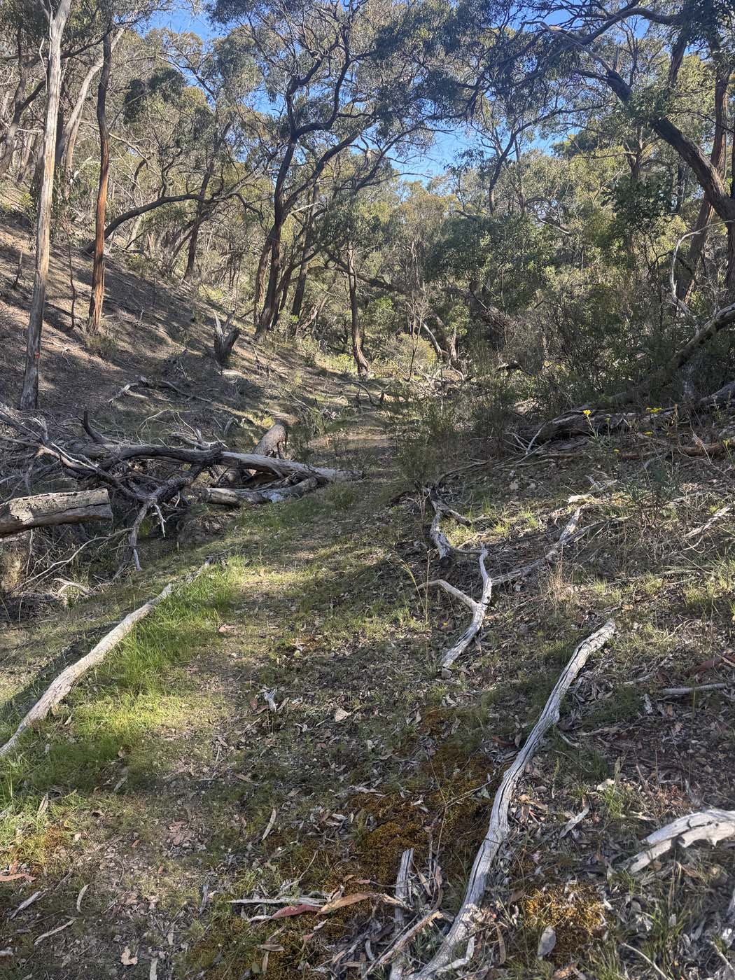 Ingliston gorge sloss gully (4) 1