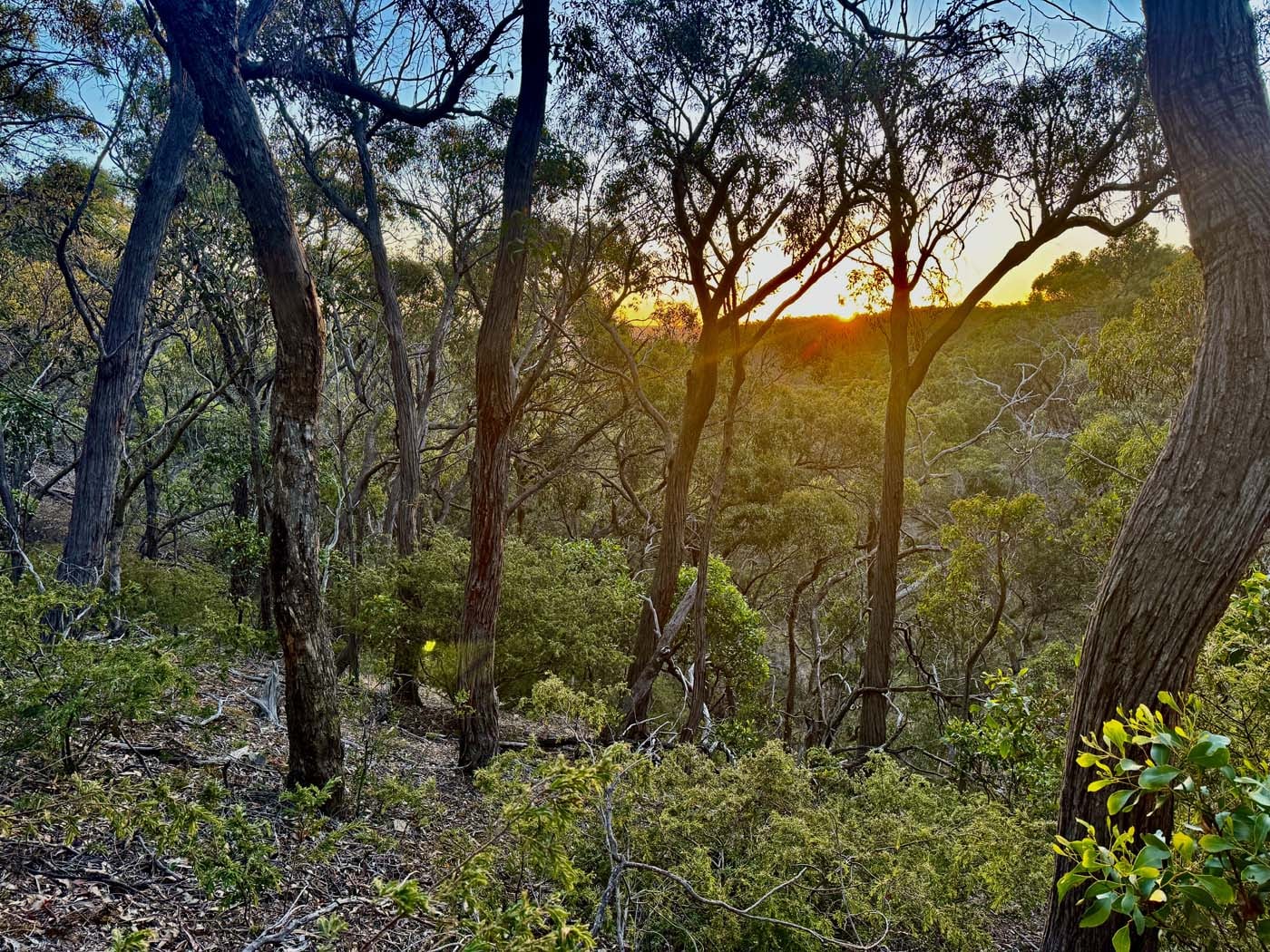 Ingliston gorge sloss gully (6)
