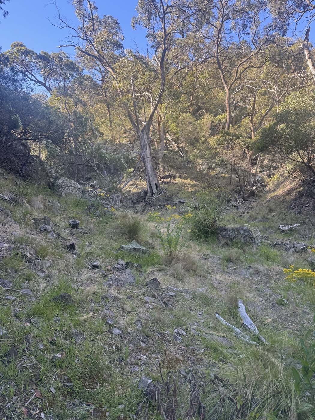 Ingliston gorge sloss gully (6) 1