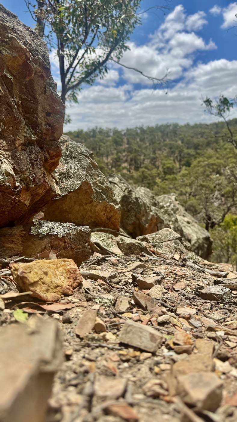 Ingliston gorge sloss gully (7)