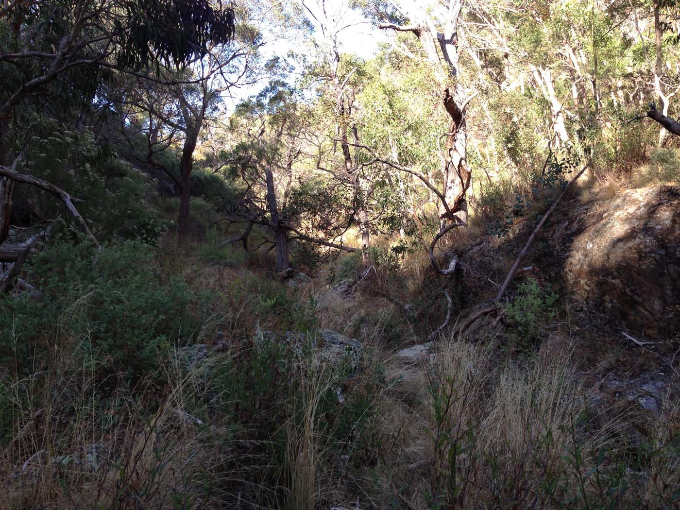 Ingliston gorge sloss gully walk (11)