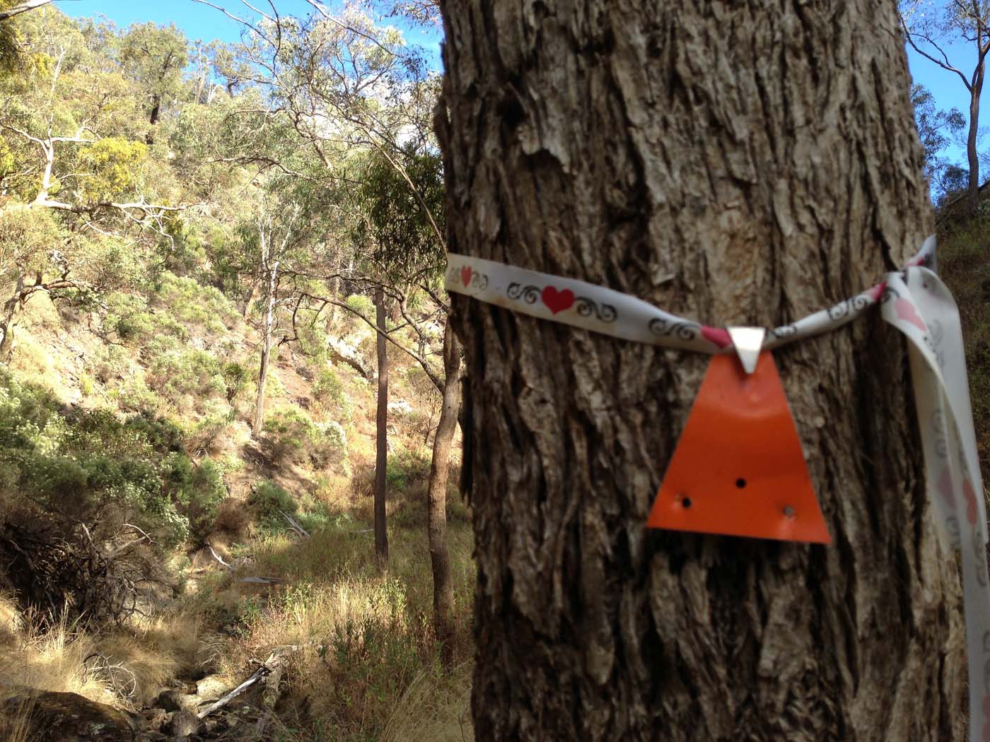 Ingliston gorge sloss gully walk (13)