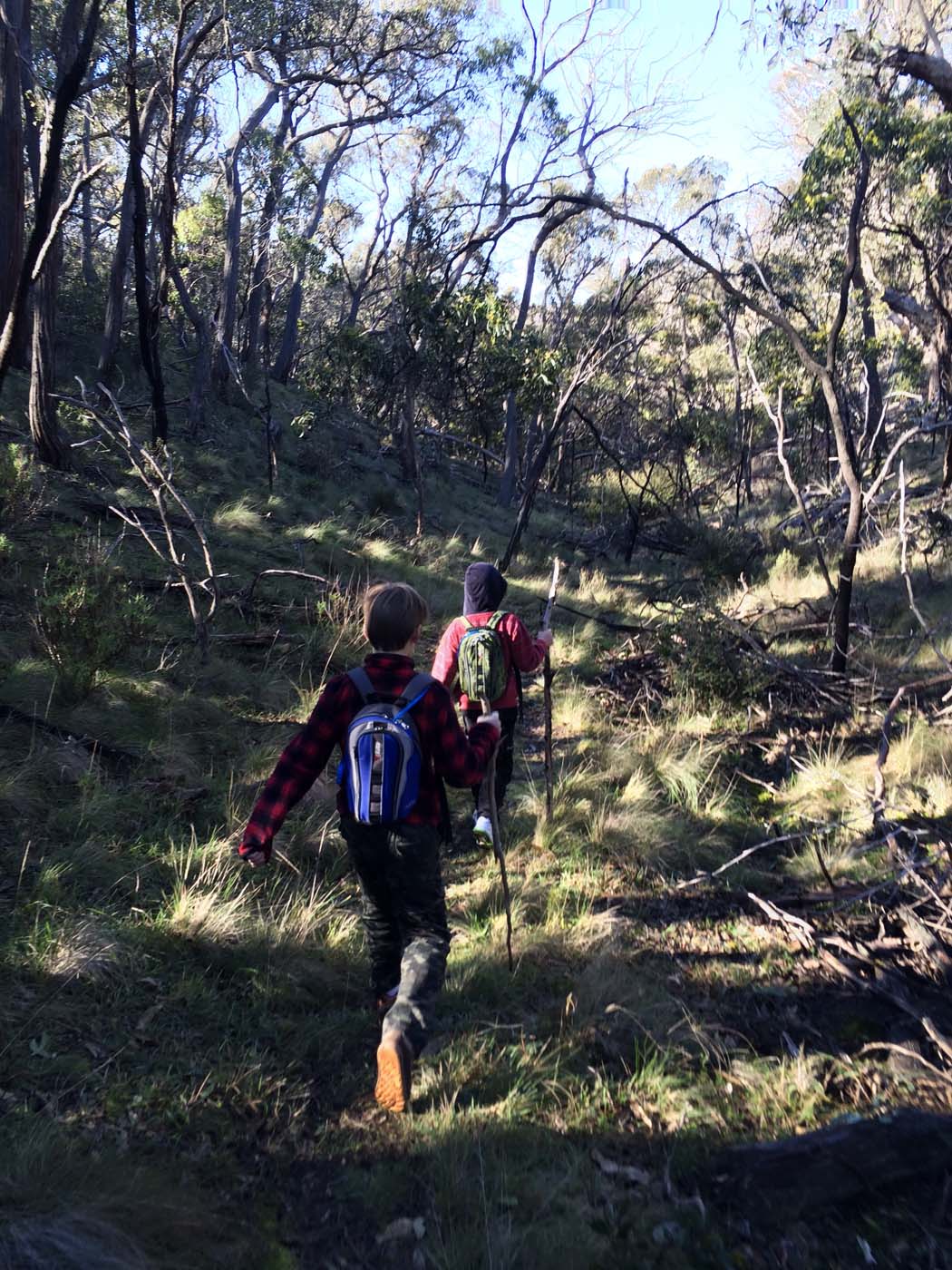 Ingliston gorge sloss gully walk (15)