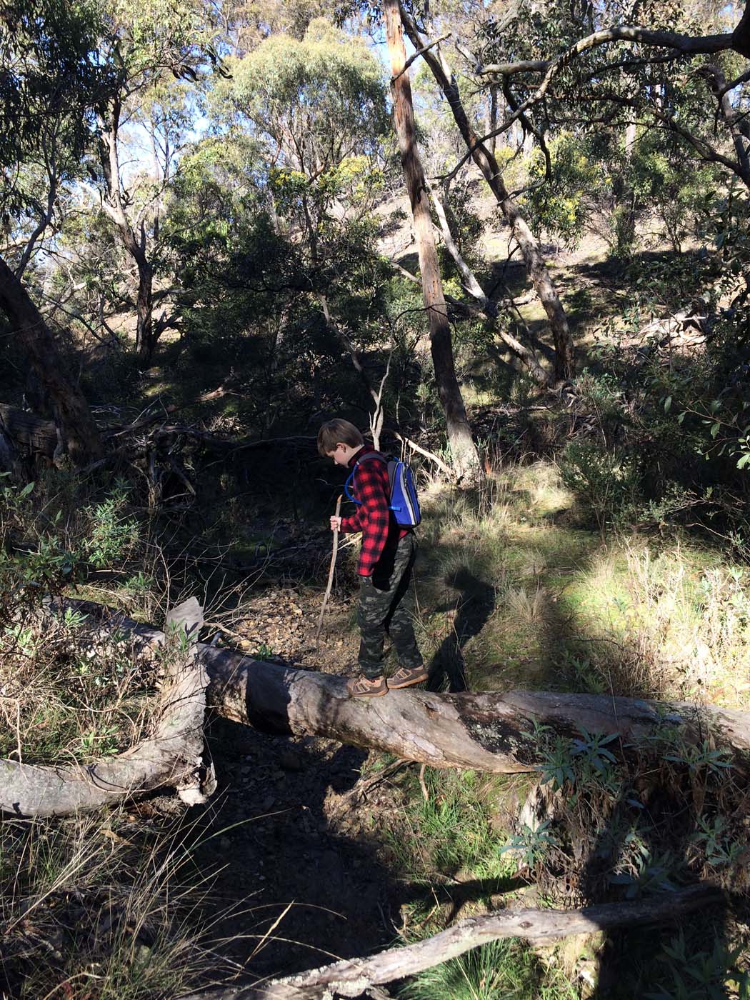 Ingliston gorge sloss gully walk (16)