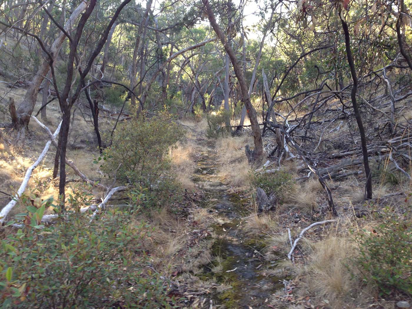 Ingliston gorge sloss gully walk (2)