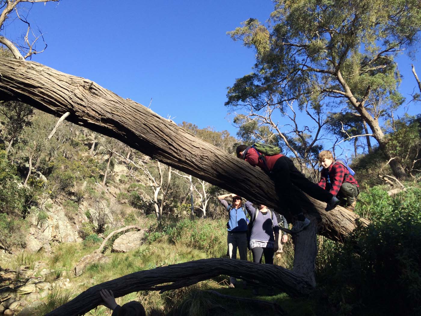 Ingliston gorge sloss gully walk (26)