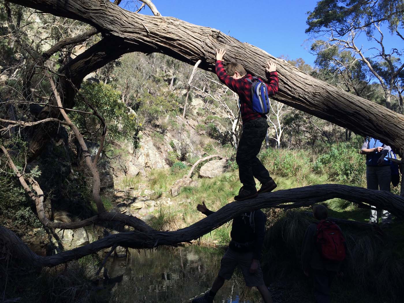 Ingliston gorge sloss gully walk (27)