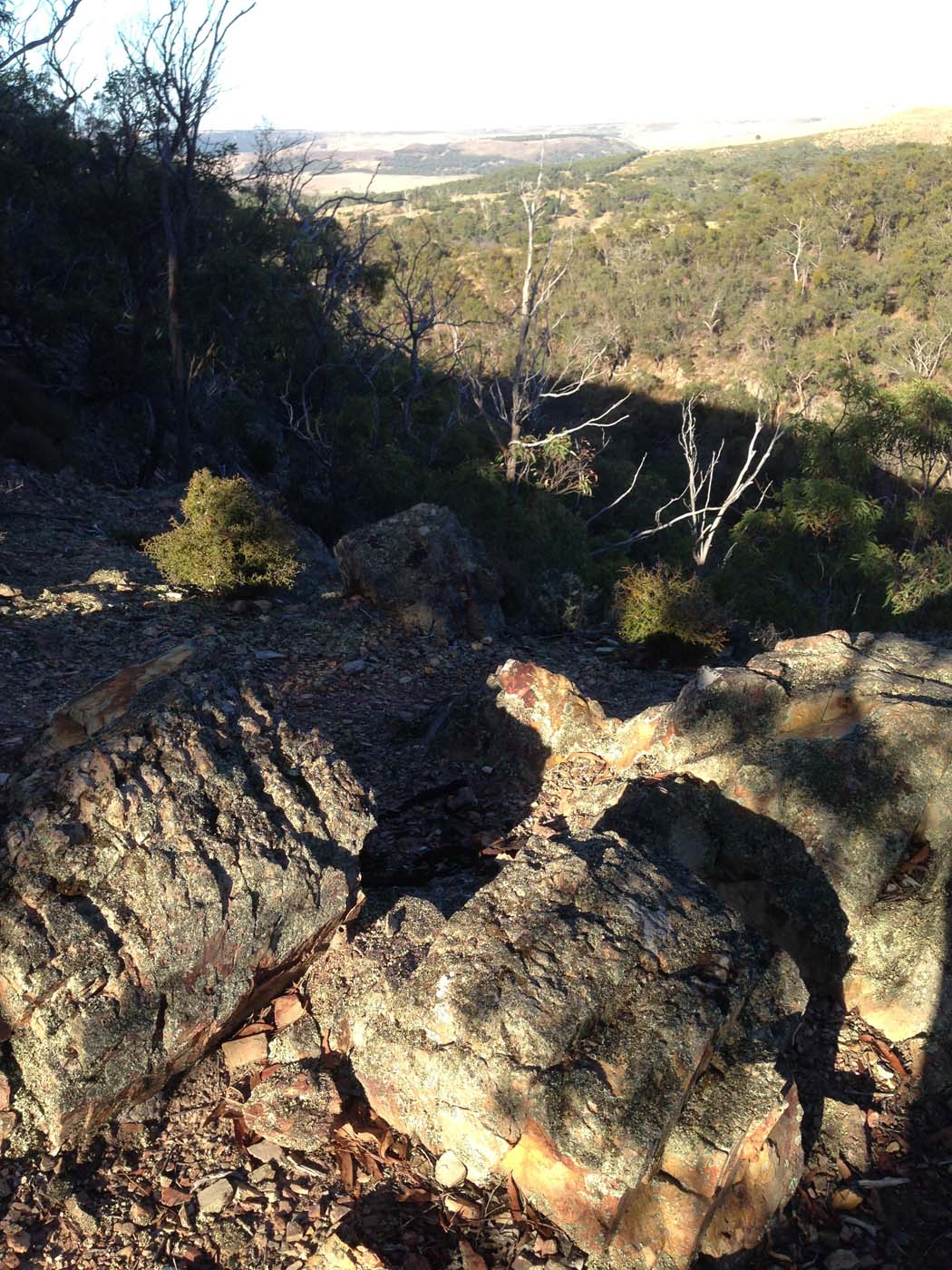 Ingliston gorge sloss gully walk (3)