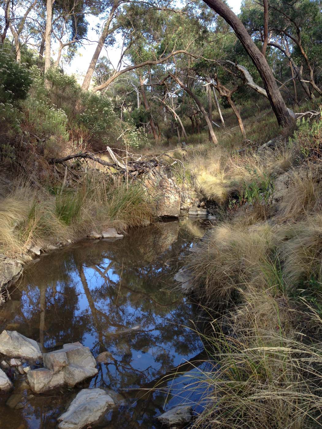 Ingliston gorge sloss gully walk (6)