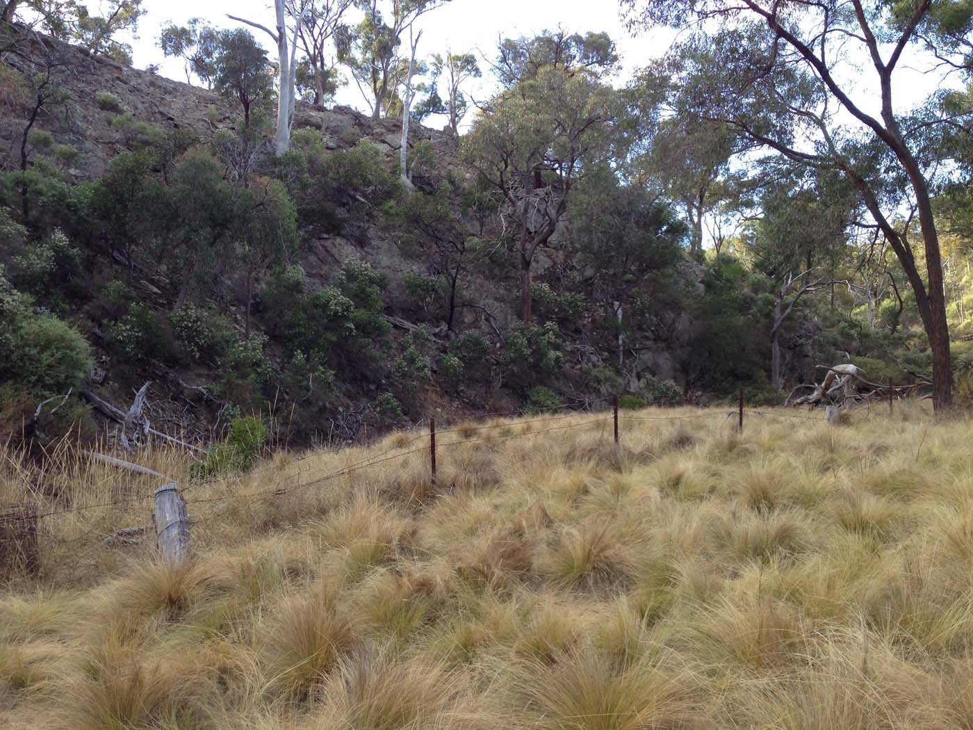 Ingliston gorge sloss gully walk (8)
