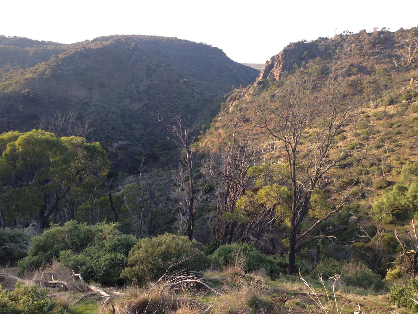 Ingliston granites & falcons circuit hike (6. 4km) (10)