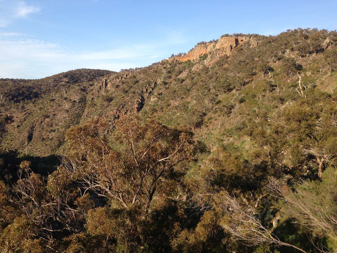 Ingliston granites & falcons circuit hike (6. 4km) (15)