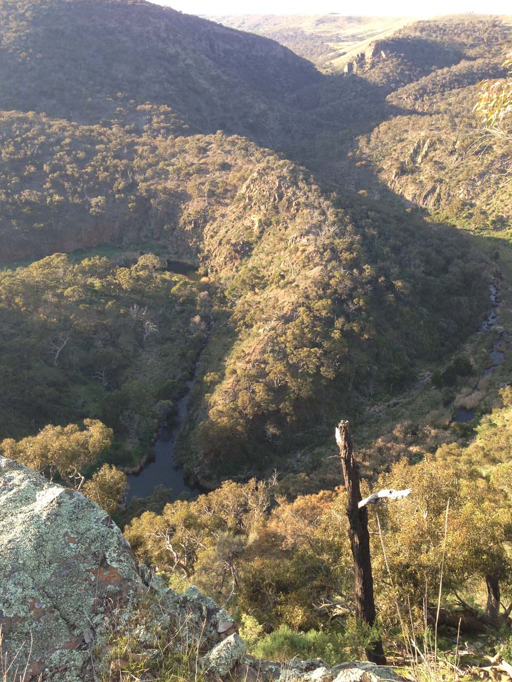 Ingliston granites & falcons circuit hike (6. 4km) (17)