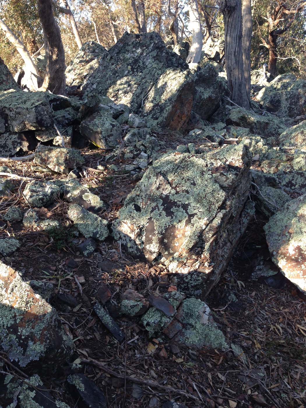 Ingliston granites & falcons circuit hike (6. 4km) (19)