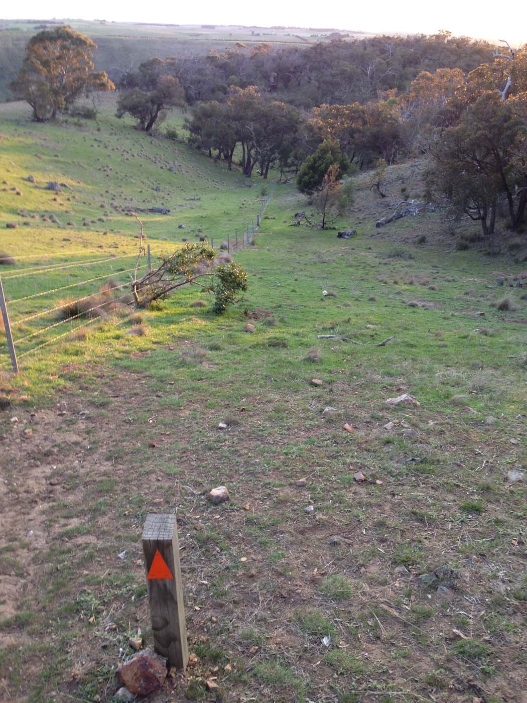 Ingliston granites & falcons circuit hike (6. 4km) (2)