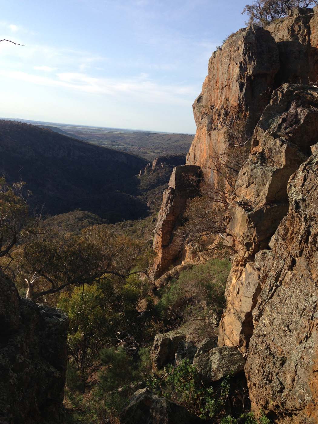 Ingliston granites & falcons circuit hike (6. 4km) (20)