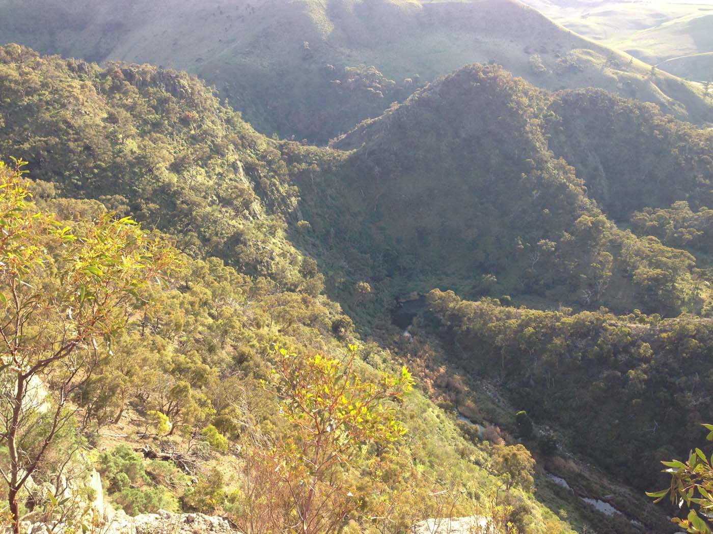 Ingliston granites & falcons circuit hike (6. 4km) (21)
