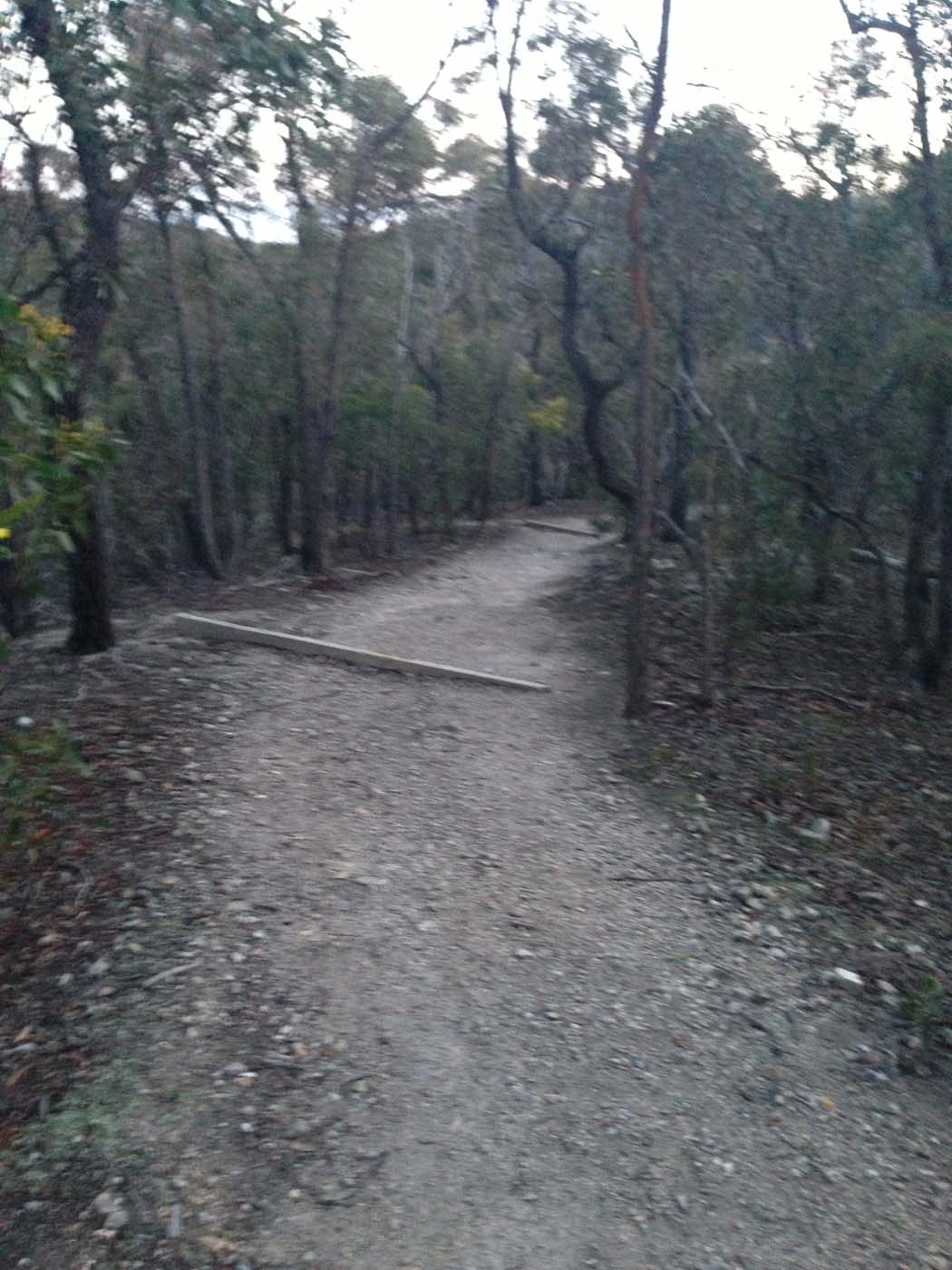 Ingliston granites & falcons circuit hike (6. 4km) (25)