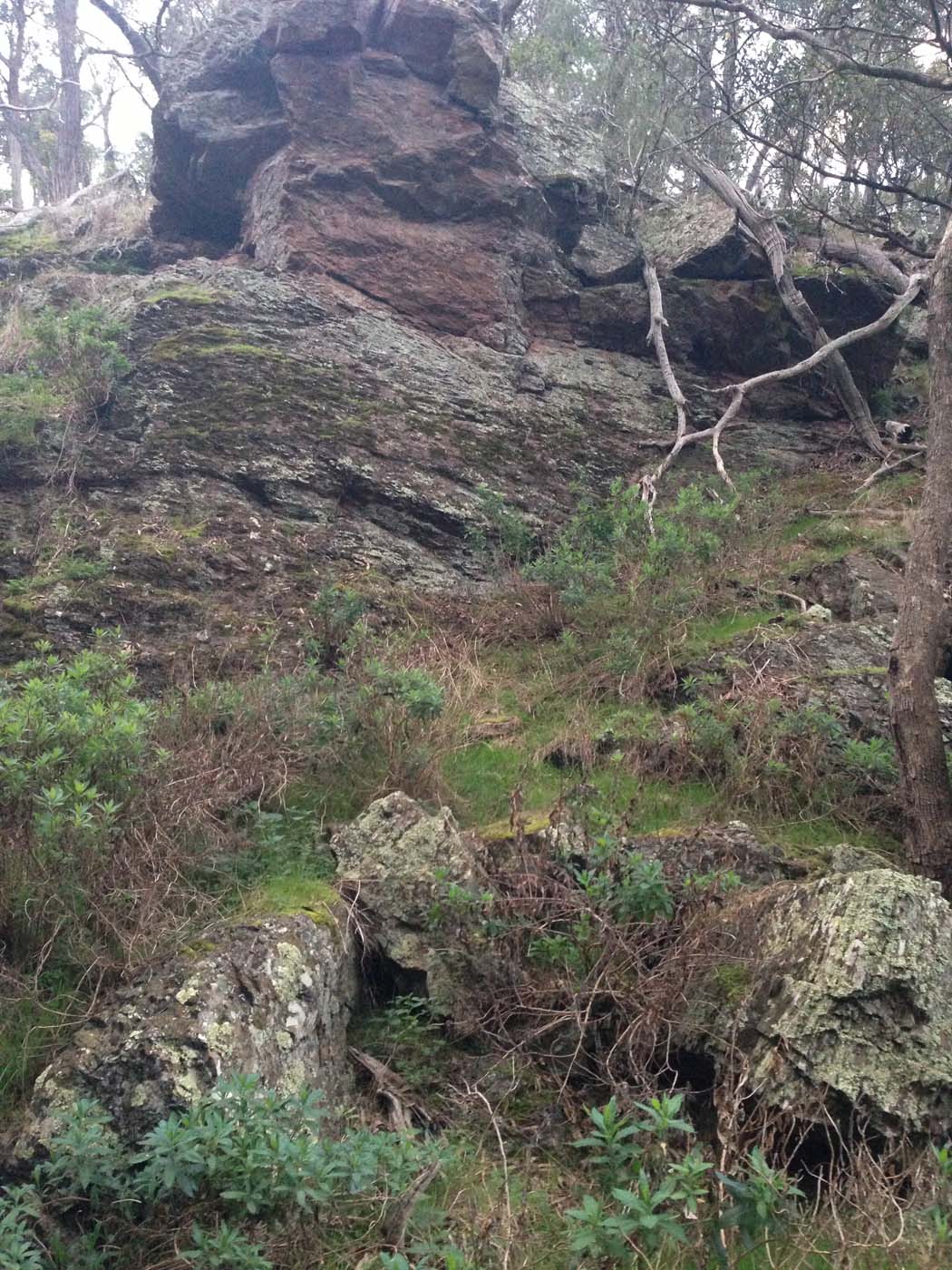 Ingliston granites & falcons circuit hike (6. 4km) (26)