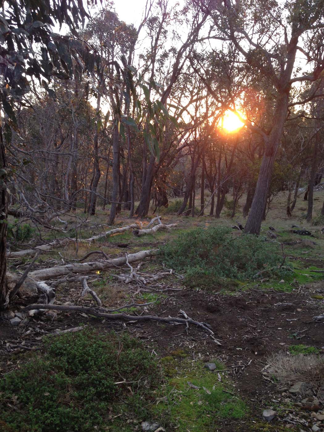 Ingliston granites & falcons circuit hike (6. 4km) (28)