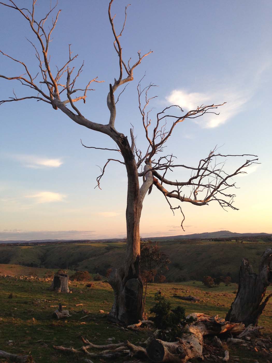 Ingliston granites & falcons circuit hike (6. 4km) (29)
