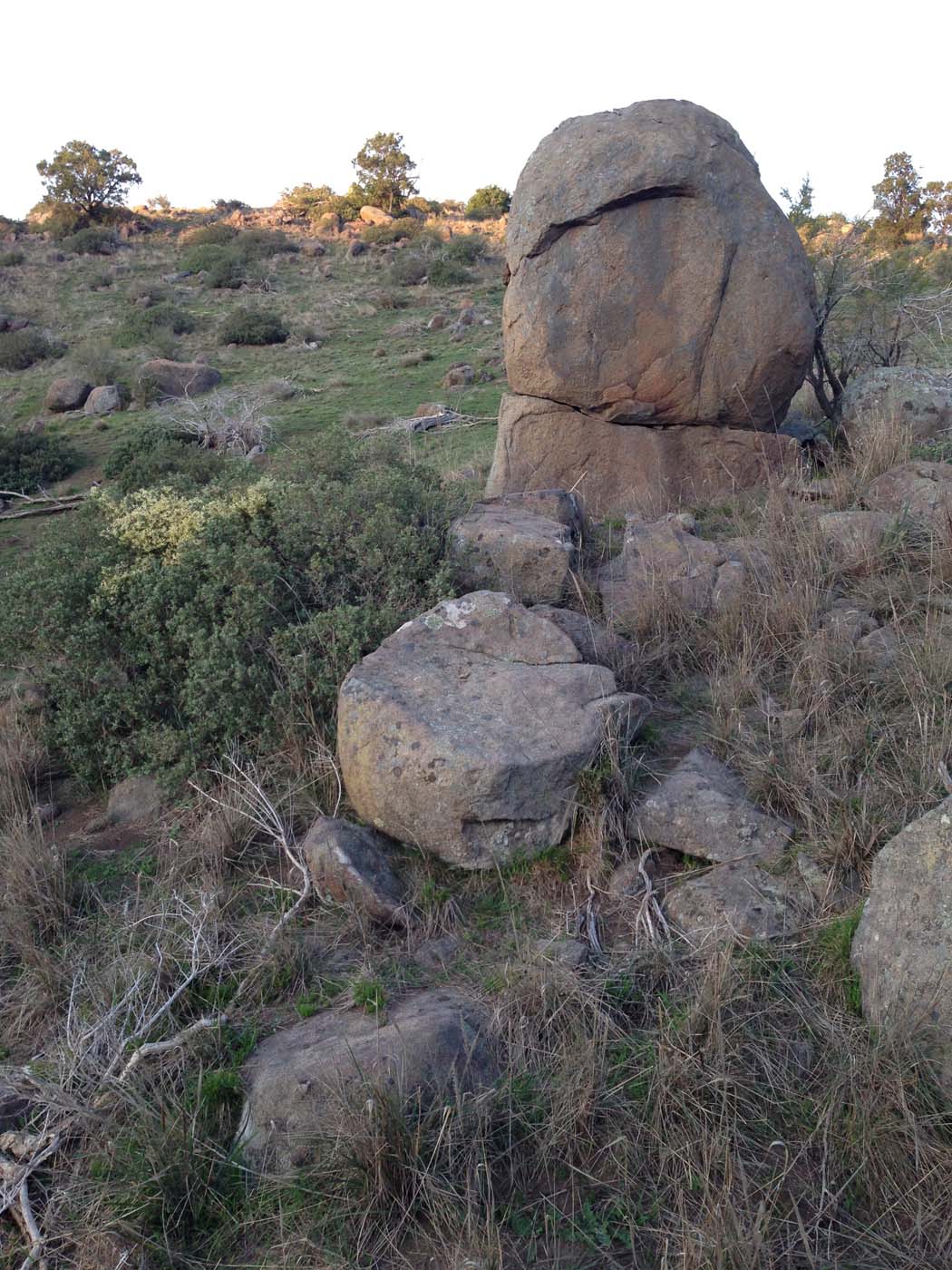 Ingliston granites & falcons circuit hike (6. 4km) (5)